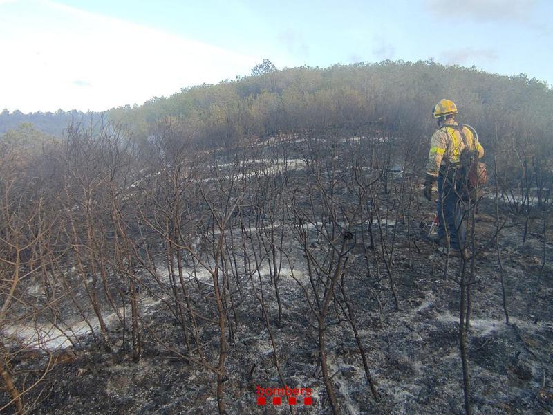 Estabilitzat l'incendi forestal a la Pobla de Massaluca, que ha afectat unes sis hectàrees