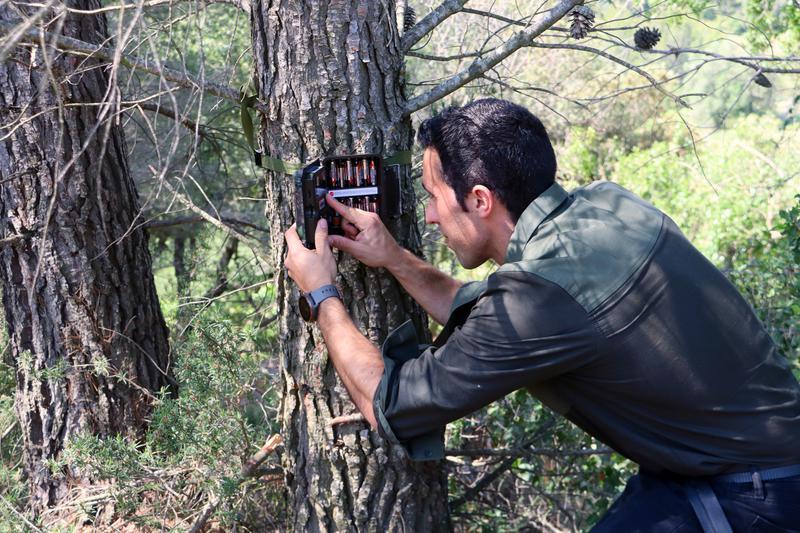 Un dels tècnics d'Acció Climàtica revisa les imatges captades per la càmera