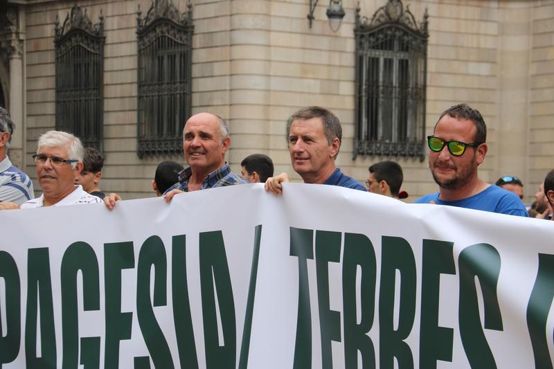 Pagesos i alcaldes de Lleida protesten davant la Generalitat pel retard amb el repartiment d'ajuts per les gelades